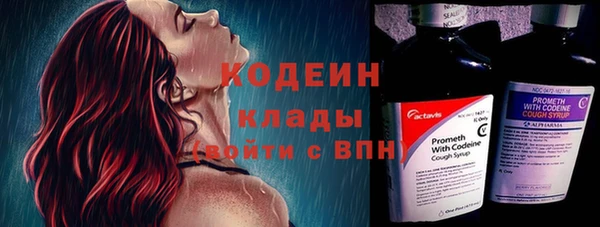 стафф Кодинск