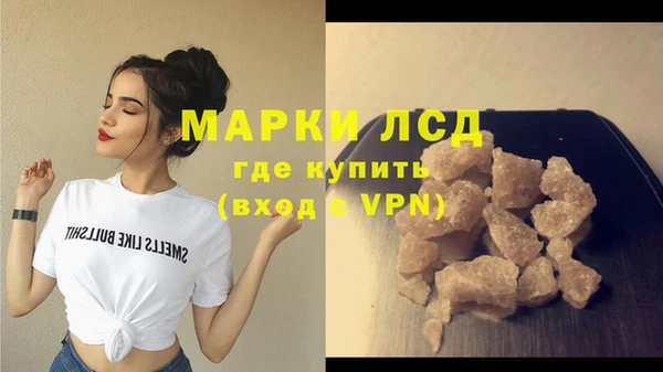 ГАЛЛЮЦИНОГЕННЫЕ ГРИБЫ Козловка