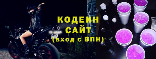 ГАЛЛЮЦИНОГЕННЫЕ ГРИБЫ Козловка