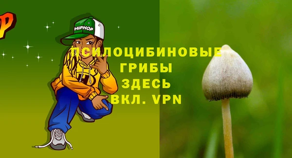ГАЛЛЮЦИНОГЕННЫЕ ГРИБЫ Козловка
