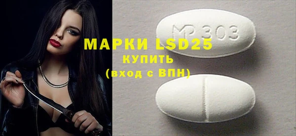 ГАЛЛЮЦИНОГЕННЫЕ ГРИБЫ Козловка
