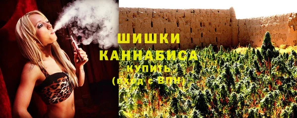 стафф Кодинск
