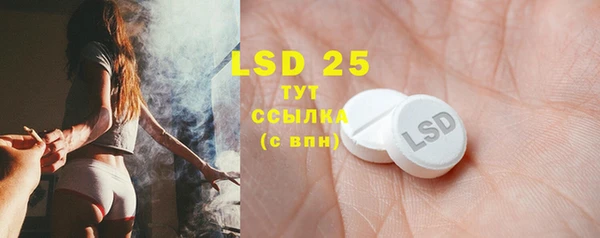 стафф Кодинск