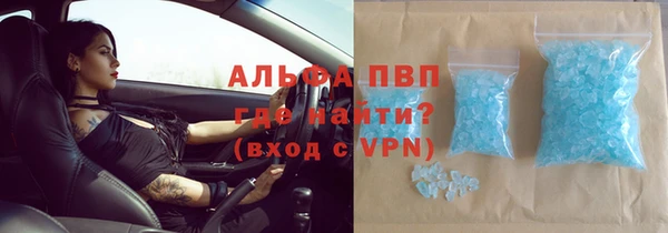 стафф Кодинск