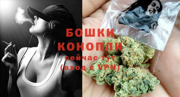 стафф Кодинск