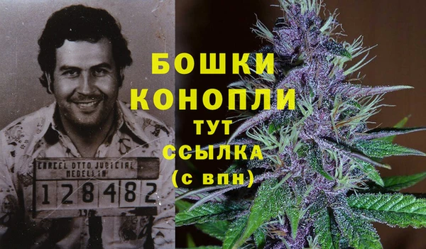 стафф Кодинск