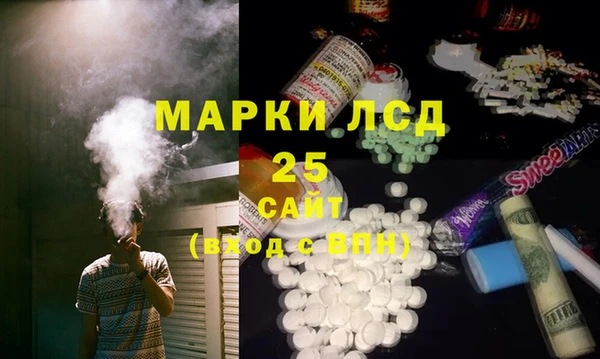 ГАЛЛЮЦИНОГЕННЫЕ ГРИБЫ Козловка
