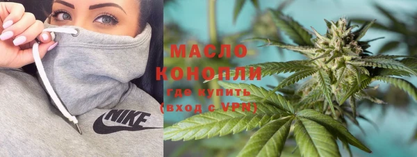 ГАЛЛЮЦИНОГЕННЫЕ ГРИБЫ Козловка