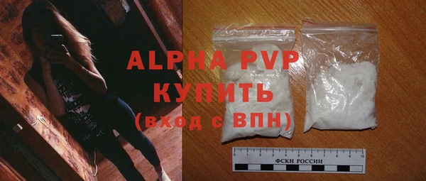 ГАЛЛЮЦИНОГЕННЫЕ ГРИБЫ Козловка
