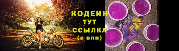 стафф Кодинск