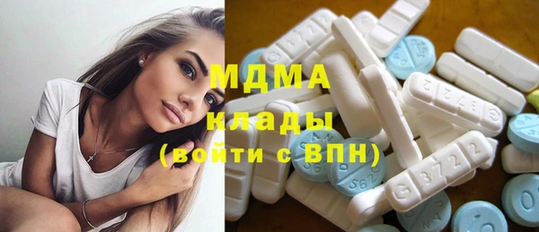 ГАЛЛЮЦИНОГЕННЫЕ ГРИБЫ Козловка